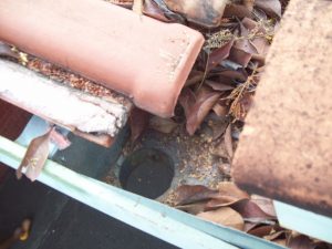 Empresa de Limpeza de Calha em São Paulo Empresa de Limpeza de Calha em São Paulo